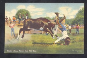 WYOMING COWBOYS ROEO BULL RIDING CHARLIE JOHNSON VINTAGE POSTCARD