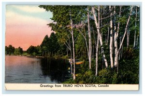 C1920s árboles & River, saludos desde Truro Nova Scotia no publicado Postal de Canadá 