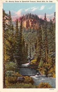 Beauty Scene in Spearfish Canyon  Black Hills SD 