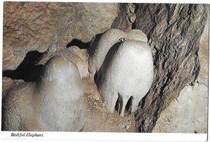 Bashful Elephant Formation Green Room of Carlsbad Caverns NM  4 by 6 size
