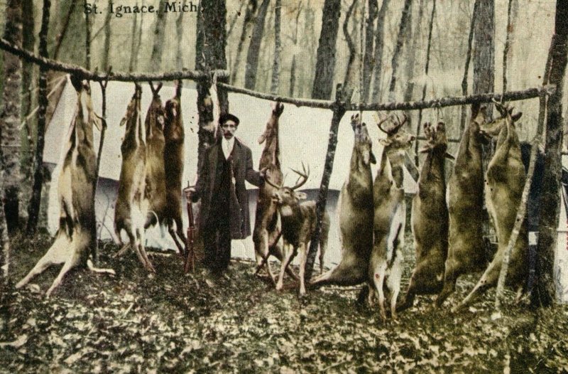 C.1910 Hunting Camp Large Dead Deer Hunter, St. Ignace, MI Vintage Postcard P120