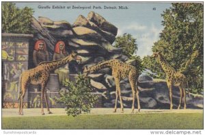 Michigan Detroit The Giraffe Exhibit In Zoological Park 1940