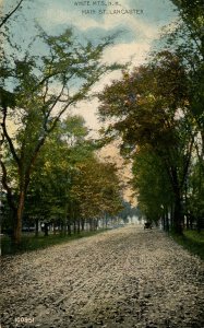 NH - Lancaster. Main Street circa 1910