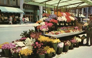 Vintage Postcard Sidewalk Flower Stands San Francisco CA California