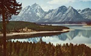 Vintage Postcard - Jackson Lake and Teton Range - Wyoming