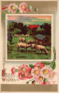 Postcard 1910's Best Wishes Greetings Card Countryside Sheep In A Field Flowers