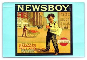 Newsboy Redlands Co-Operative Fruit Assn. Postcard Continental View Card