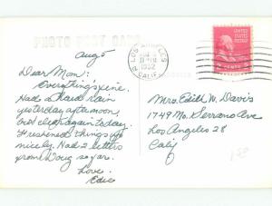 1950's rppc NICE VIEW CUTE TREE SQUIRREL CARRYING NUT i7835