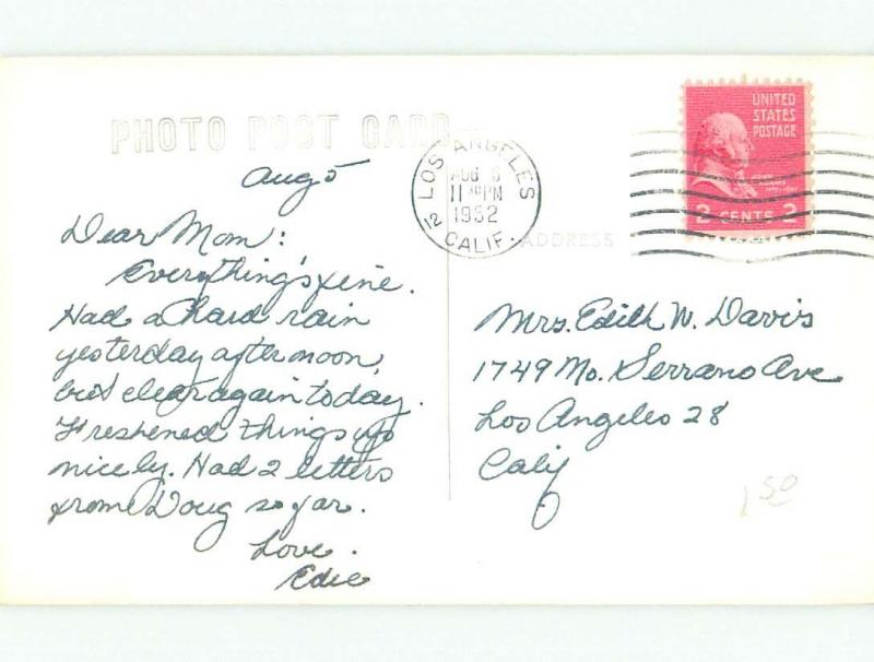 1950's rppc NICE VIEW CUTE TREE SQUIRREL CARRYING NUT i7835