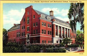 Tallahassee, FL Florida  AGRICULTURAL & MECHANICAL COLLEGE  ca1940's Postcard