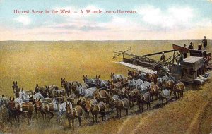Combine Harvester Reaper 38 Mule Team Farming American West 1910c postcard