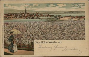 Baumbluthe Werder a.H. Germany c1900 Postcard