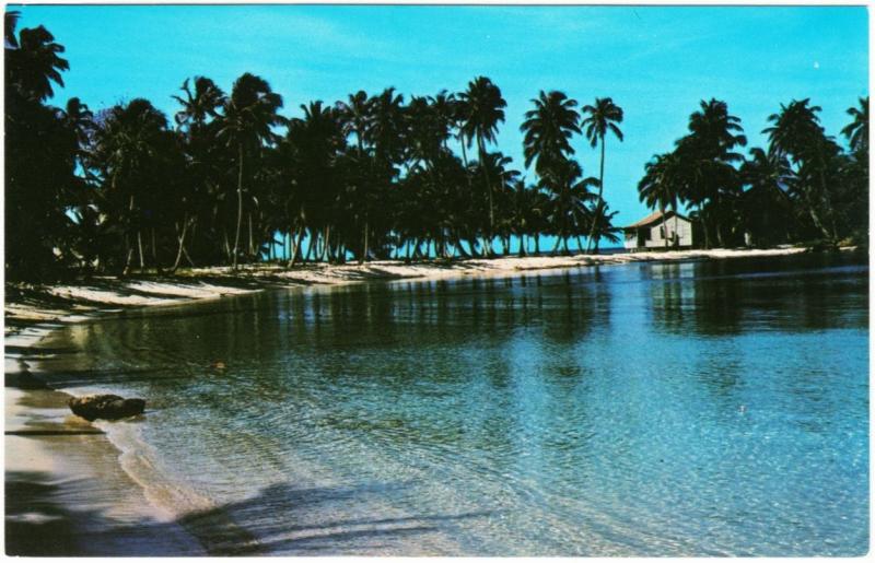 Honduras Roatan Half Moon Bay 1960s-1970s Postcard