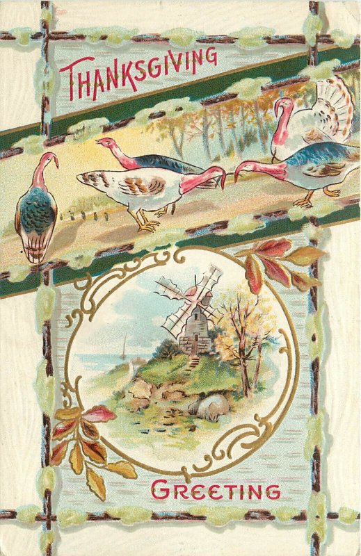 Embossed Postcard Thanksgiving Windmill Turkey