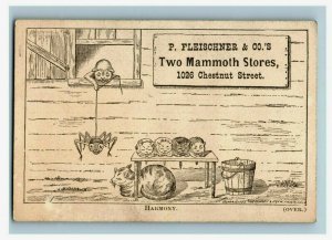 1870's Double Sided P. Fleischner Anthropomorphic Comical Cats Kittens P173