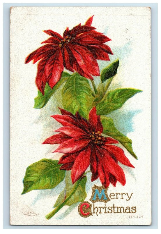 c. 1910 Merry Christmas WM. Miller Poinsettia Lovely Postcard P42 