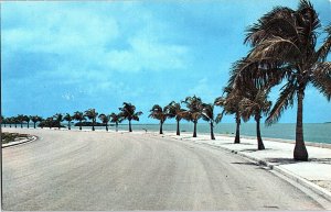 Chrome ROAD SCENE Key West Florida FL AH8924