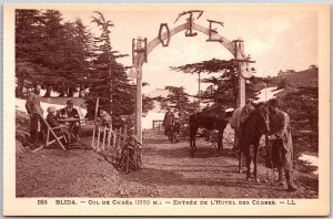 Blida Col De Chrea Entree De Hotel Des Cedres Algeria Cowboys & Horses Postcard