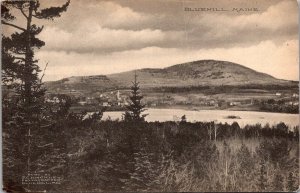 View Overlooking Bluehill ME Vintage Postcard Q78