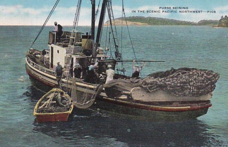 Fishing Purse Seining In The Scenic Pacific Northwest 1957