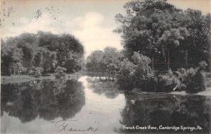 Cambridge Springs Pennsylvania French Creek Waterfront Antique Postcard K90019