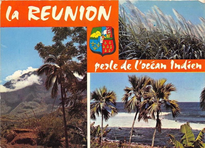 BR13564 Ile de La Reunion Cannes a sucre en fleurs   france