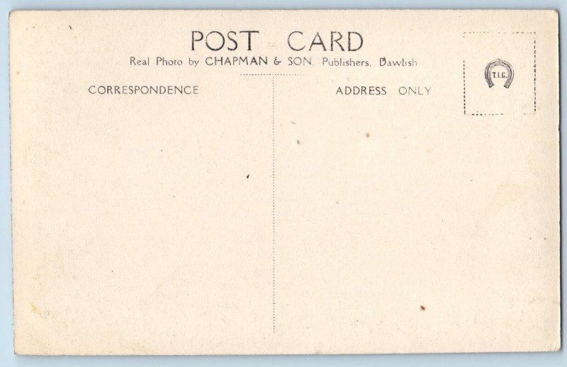 Dartmoor Devon England Postcard Dartmeet Bridge Arch c1910 RPPC Photo