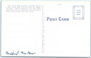 c1940s Little Rock, AK Pinnacle Mountain Linen PC Nature Scene Tree Clouds A289