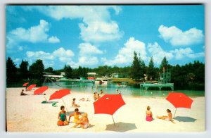 Postcard Weeki Wachee Springs Florida Swimsuit Women Beach Mermaids Chrome