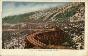 Coeur D'Alene ID S Trestle c1905 Postcard