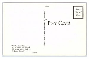 Two Puppy Dogs Postcard