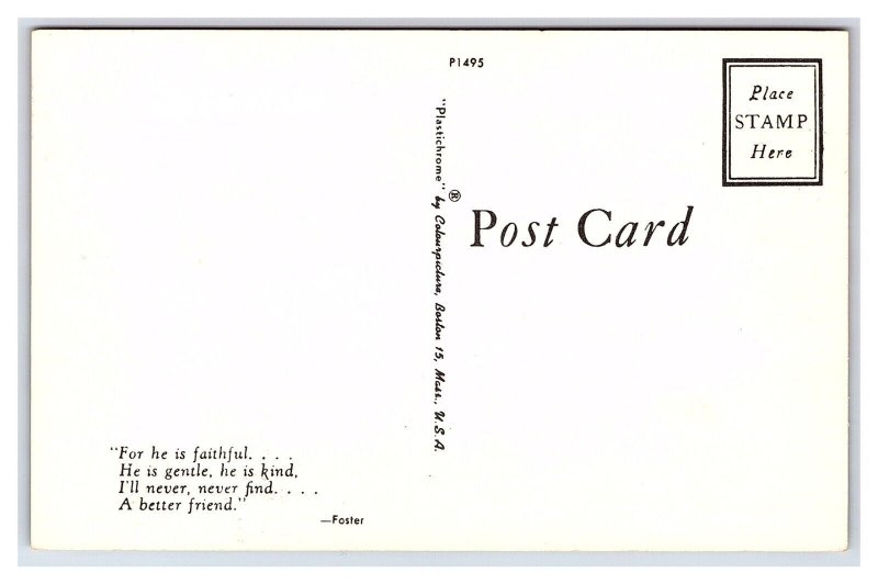 Two Puppy Dogs Postcard