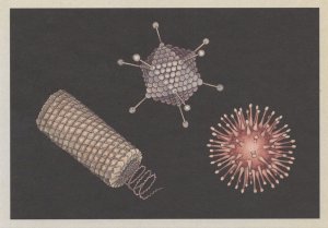 Spherical Helical Polyhedral Virus Disease Science Postcard