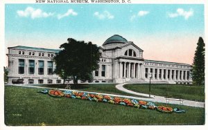 Vintage Postcard 1920's New National Museum Building Washington D.C. Structure