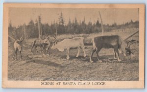 c1910's Scene At Santa Claus Lodge Minnesota MN Reindeer Antique Postcard