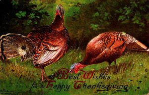 Thanksgiving Greetings With Turkey 1910