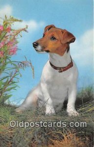 Jack Russel Terrier Salmon Watercolour Dog Unused 