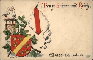 Elsass-Strassburg Germany Heraldic German Flag Shield c1910 Vintage Postcard