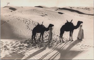 Algeria Passage des Dunes Camel Vintage Postcard C192