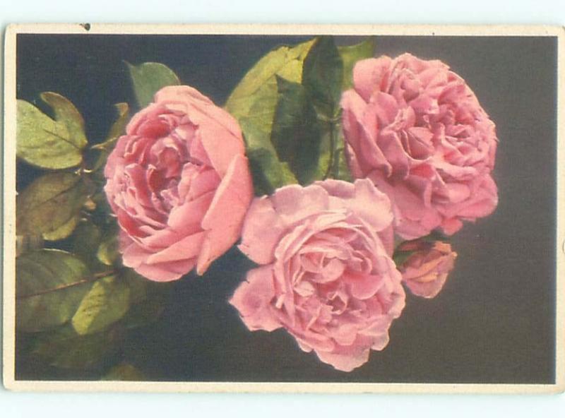 Very Old Foreign Postcard BEAUTIFUL FLOWERS SCENE AA4403