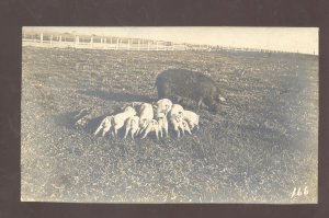 RPPC DAKOTA IOWA PIG FARM HOGS VETERANERY VINTAGE REAL PHOTO POSTCARD