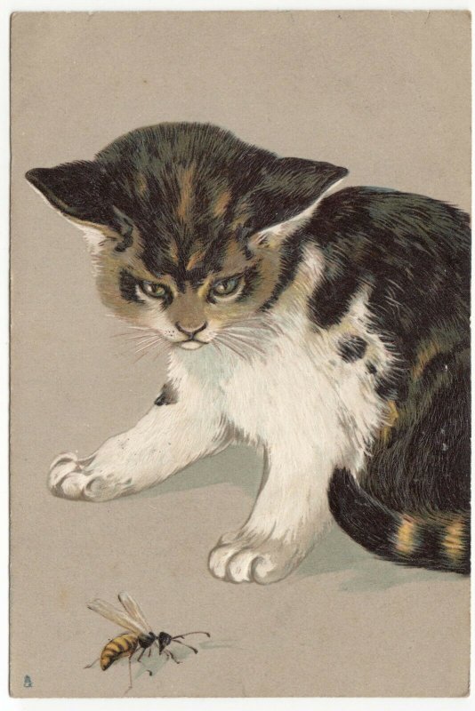 Cats; Cats At Play Embossed Cat With Wasp No 1018 PPC By Tuck, 1904 PMK