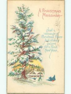 Divided-Back CHRISTMAS BIRDS SCENE Pretty Postcard W8554