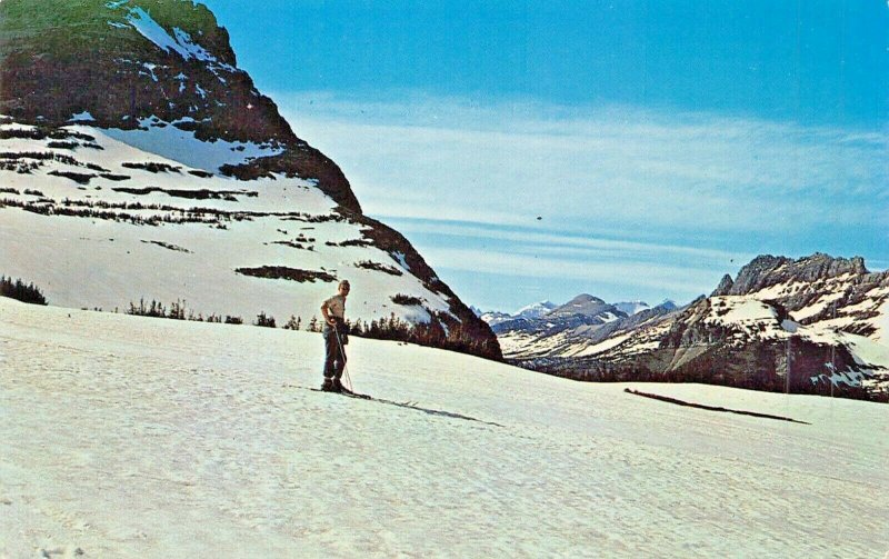 MONTANA-GLACIER NATIONAL PARK-SKIING AT THE SUMMIT 1960s POSTCARD