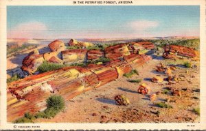 Arizona Petrified Forest Logs