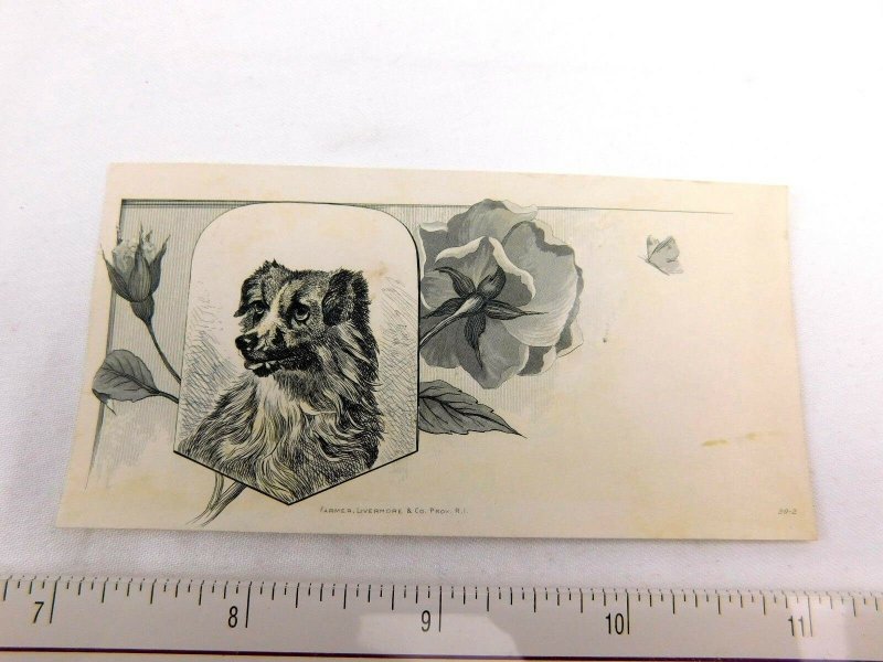 Lovely Engraved Collie Dog Bust Rose Blossoms Farmer, Livermore & Co F29