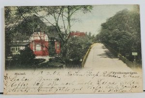 Sweden Malmo Fridhemsvagen c1903 Hand Colored Postcard I7