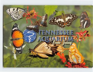 Postcard Ocean Journey, Tennessee Aquarium, Chattanooga, Tennessee