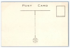 c1950's Longwood Bridge Bird Sanctuary Hamilton Canada Unposted Postcard