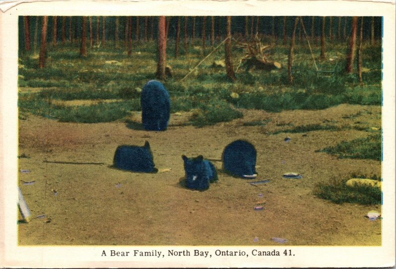 Bear Family North Bay Ontario Canada WB Postcard VTG UNP Unused Vintage 